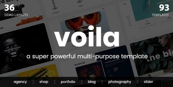 Voila - Multi-Purpose Portfolio Template