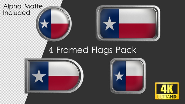 Texas State Flag Framed