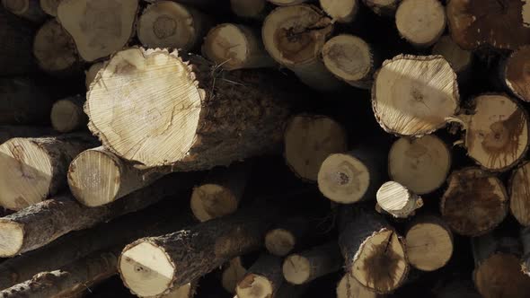 Stacked Wood Logs Against Blue Sky