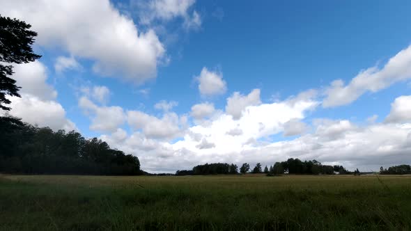 Time lapse landscape fluffy cloud sky flowing on natural forest on morning