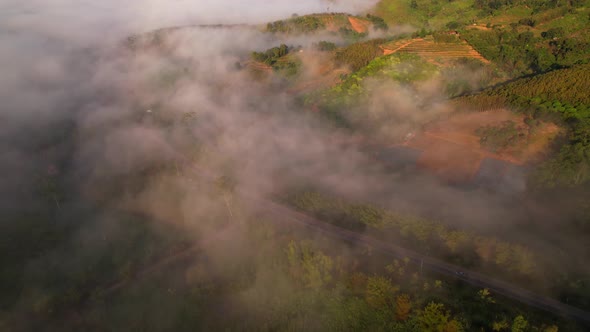 4K Aerial view of the misty sunrise in the forest. Tropical Rainforest in Thailand