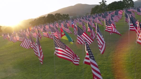 Drone Footage of Thousands of Flags Waving in the Wind on Grassy Hillside