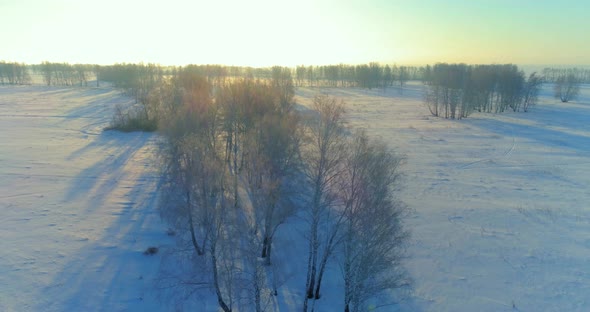 Aerial Drone View of Cold Winter Landscape with Arctic Field, Trees Covered with Frost Snow and