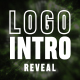 Energy Logo Reveal - VideoHive Item for Sale