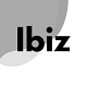Ibiz — A Clean Business Landing Template - ThemeForest Item for Sale