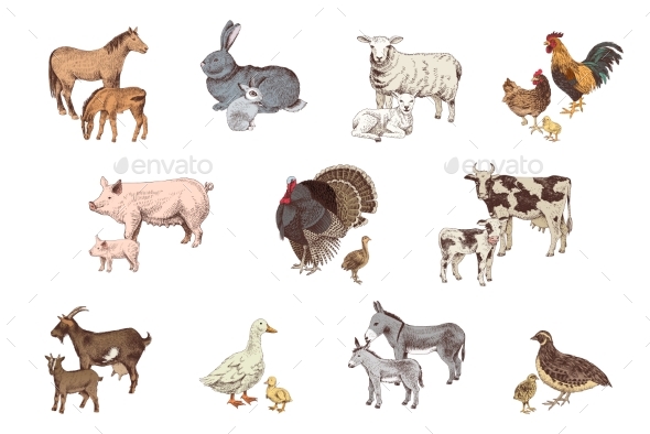 Large Set of Farm Animals with Their Babies