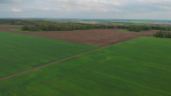  Aerial of Flying Over a Beautiful Green Meadow