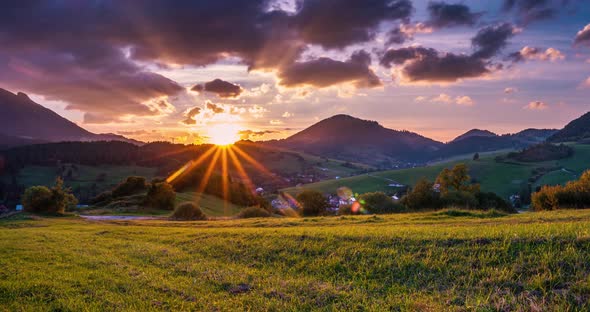 Sunset Sky in Rural Countryside Natrue with Sheep Graze Green Grassy Meadow