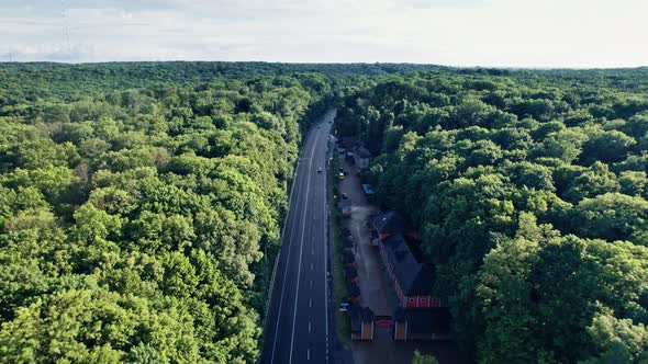 Aerial View of a Car Road in Leafless Forest