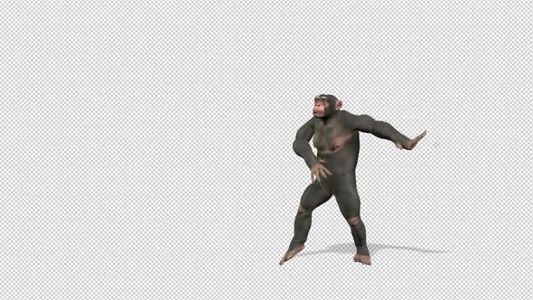 Chimpanzee Thriller Dance