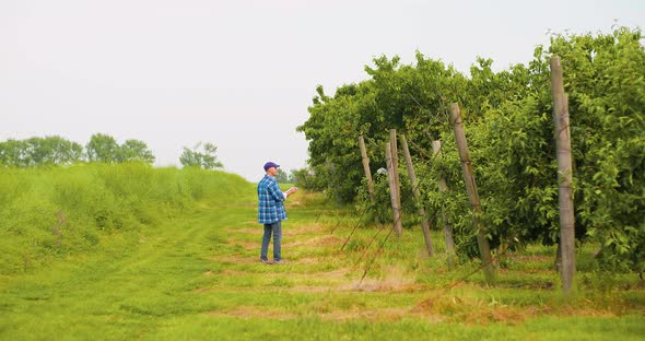 Male Researcher Looking at Trees While Writing on Clipboard