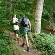 Nordic Walkers in Forest