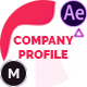 Company Profile - VideoHive Item for Sale