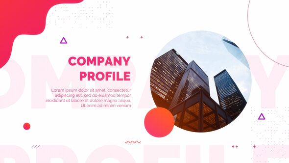 Company Profile