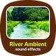 River Ambient Sounds