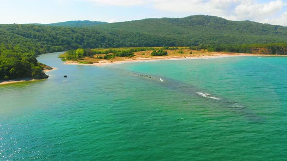 Flying over the sea towards a delta of a river and the land covered with green woods.