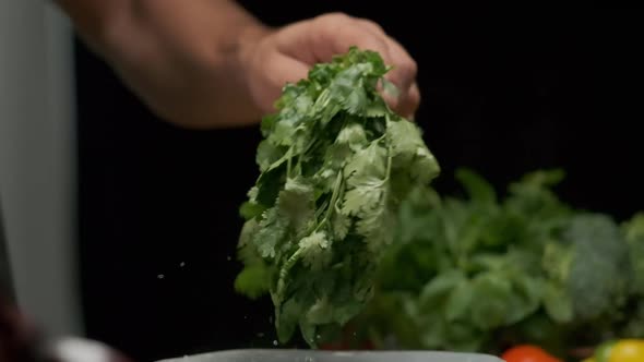 Professional Chef Washes Cilantro Leaves