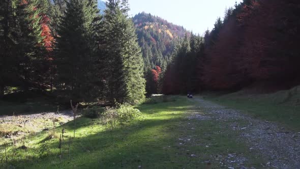 Hiking Trail To Piatra Craiului Mountains With Lush Coniferous Trees In Brasov, Romania. - wide shot
