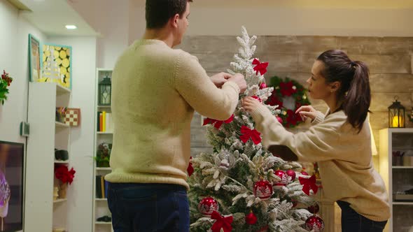 Young Couple in Love Assembled Christmas Tree