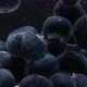 Blueberry - VideoHive Item for Sale