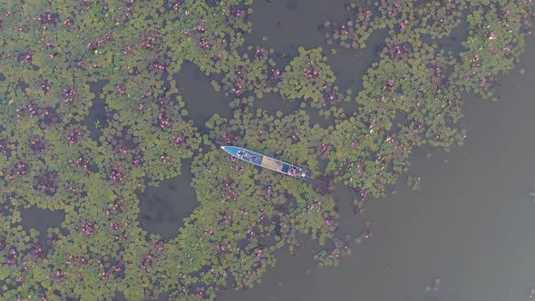 Boat in Lake with Lotus