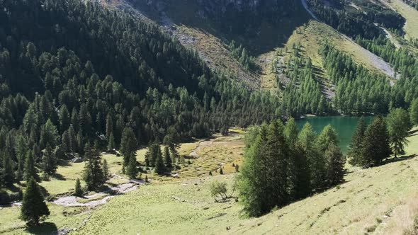 Mountain Valley with Alpine Palpuogna Lake in Albulapass Swiss Alps