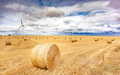 Windmill turbines in a agricultural landscape with fields and meadows. - PhotoDune Item for Sale