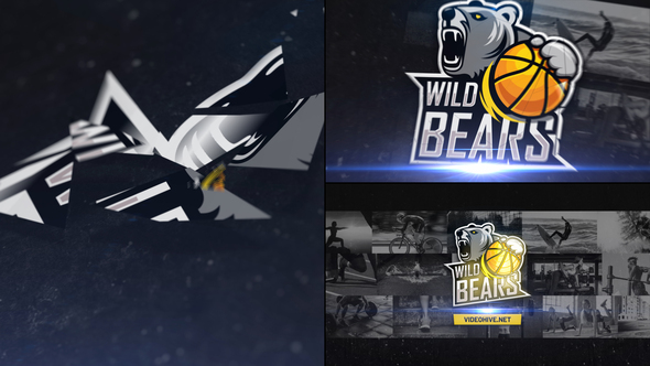 Shattered 3D Logo Reveal alt