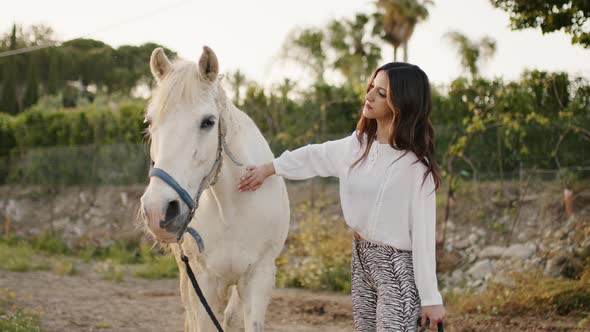 Gently Stroking the White Horse By a Beautiful Girl