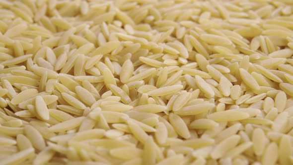 Dry peeled cereal barley. Macro