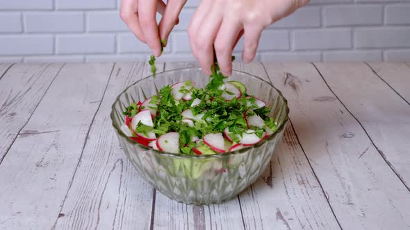 Chef Sprinkles Parsley a Fresh a Vegetable Salad with Radish Cucumber Greens