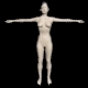 Low Poly Woman Body - 3DOcean Item for Sale