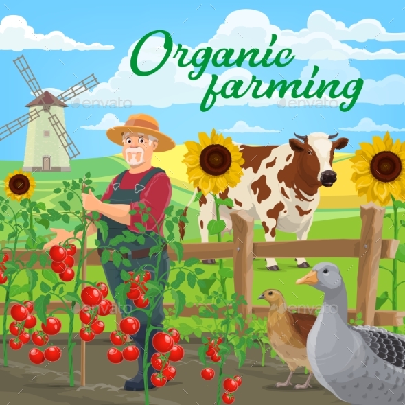 Organic Farming Food and Farmer. Agriculture