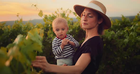 Happy Mother Enjoying Time with Her Cute Little Baby Boy in French Provence Vineyard During Summer