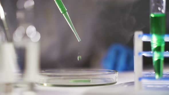 Female Medical Research Scientists Adding Pipette Dropping a Colored Liquid To Petri Dish To Conduct