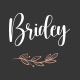 Bridey - Bridal Store WooCommerce WordPress Theme - ThemeForest Item for Sale