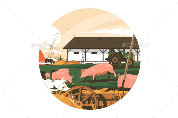 Piglets on Farm