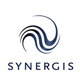 Synergis Logo Template - GraphicRiver Item for Sale