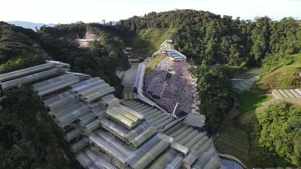 Cameron Highlands, Pahang Malaysia