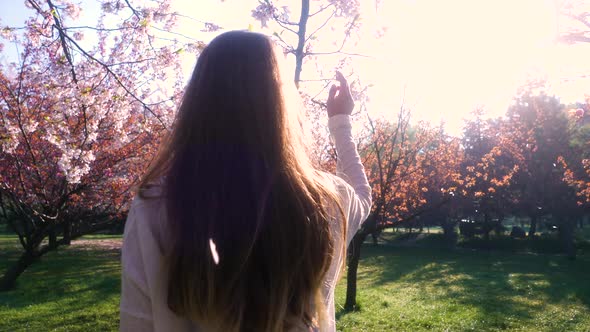 Girl walking in Japanese Garden with blooming trees. Young woman with long hair enjoys spring