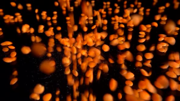Lentils fall on a black mirrored background. Slow motion.
