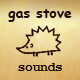 Gas Stove
