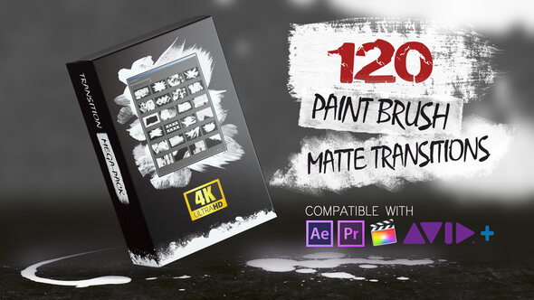 120 Paint Brush Matte Transitions - 4K Pack