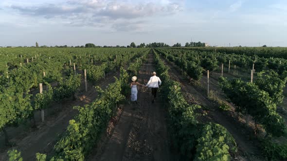 Drone View on Romantic Couple Holding Hands Runs Free Amongst Grapevines