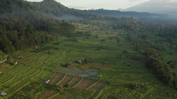 Drone Arcing Over Terraced Fields And Forests