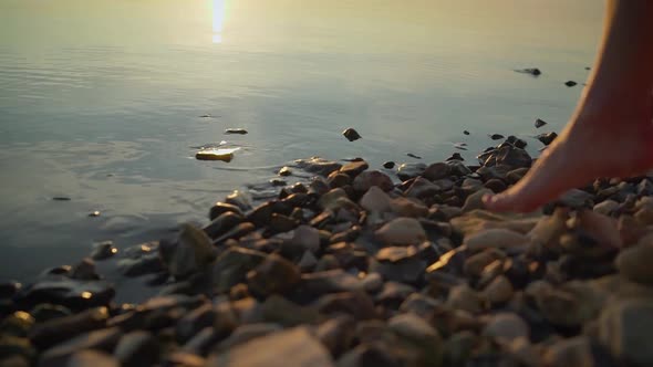 Women's Feet Go To the Water on the Stones. Girl Goes Barefoot on the Stones of a Mountain River