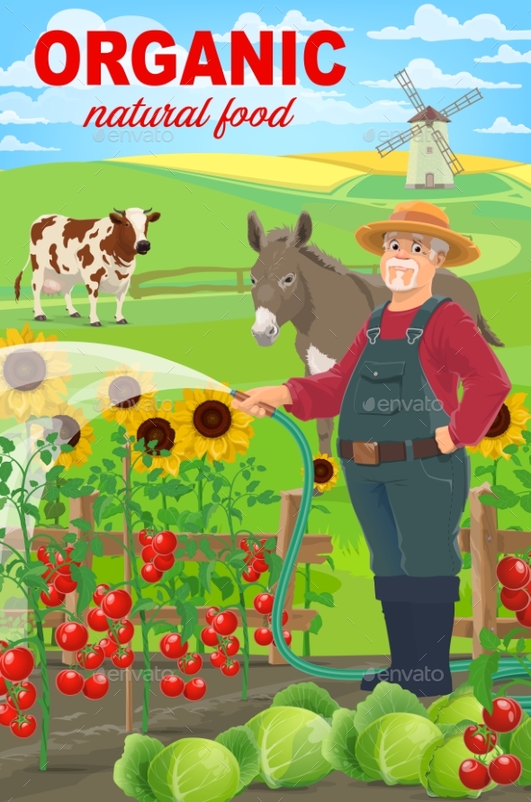 Farmer on Farm, Agriculture Countryside Worker Man