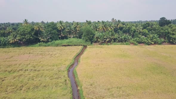 Kerala backwaters, farmland and fields at Alleppey, India. Aerial drone view