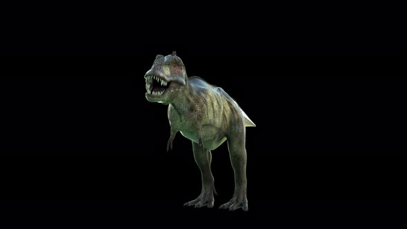 Tyrannosaurus Front View alt