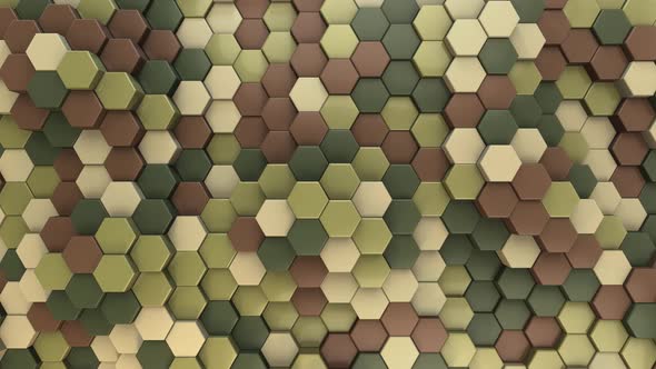 Hexagon Background Camouflage 2 / Safari - 4K